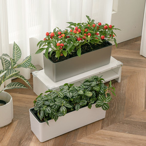 Jardinières et pots rectangulaires auto-arrosants en résine pour balcon, jardinière suspendue pour fenêtre, jardinière de balustrade - Product Image 2
