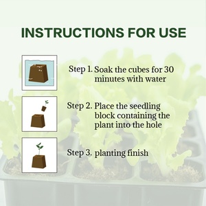 Venta al por mayor: 80 bloques de cultivo de coco altos por caja para invernadero, base de compresión para cultivo sin suelo, macetas para plantas y flores. - Product Image 5
