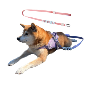 Tali Anjing Premium Anti Guncangan Desain Paten, Tersedia dalam Jumlah Besar - Product Image 2