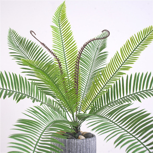 Cây Cọ Đôi <span class=keywords><strong>Robellini</strong></span> Giả Chống Tia UV Tự Nhiên Giảm Giá Mạnh - Product Image 4