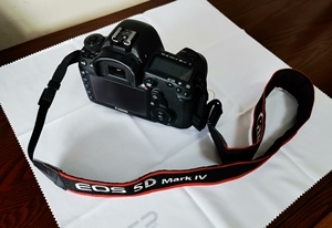 Cámara Digital Profesional Canon Mark IV SLR de Fotograma Completo, Lista para Enviar, Cámara Digital Canon 5D MARK IV Usada - Product Image 5