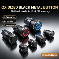 Tombol Tekan Logam Anodisasi Hitam Industri dengan Lampu LED, Berbagai Ukuran Lubang Pemasangan 12 16 19 22mm, Sakelar Daya Momentary