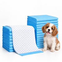 Tapis d'entraînement écologiques jetables pour animaux de compagnie 60x90cm, tapis absorbants pour chiens à séchage rapide et anti-fuites avec logo personnalisé