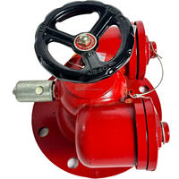 Adaptor Pompa Pemadam Kebakaran Bandara SQD100-1.6 Berlapis Bubuk Fleksibel