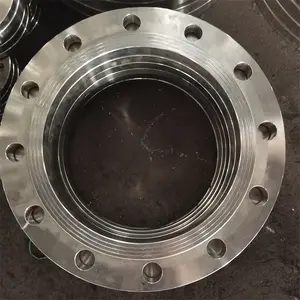 Experienced Manufacturer DN500 Pn10 Pressure Flanges Forged Flat Welded Flange