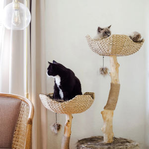 الخشب الصلب القط تسلق لعبة منزل خشبي القط شجرة خربشة أثاث - Product Image 3