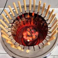 Barbecue à charbon sans fumée en acier inoxydable 7 kg, four de barbecue domestique d'extérieur avec grille suspendue et brochettes pour agneau Shandong