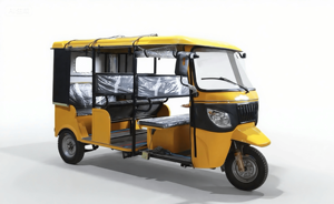 Algeria Uganda Mới 250cc Xăng 3 Bánh Xe Xe Máy Cargo1000w Điện Nước Làm Mát Động Cơ - Product Image 4