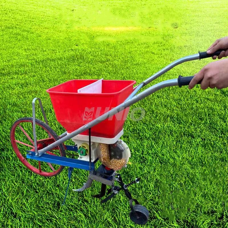 3d models maize plant