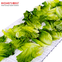 Hongsbelt HS-100B-HD-N Modulaire Geperforeerde Kunststof Transportband voor Fruit- en Groenteverwerking