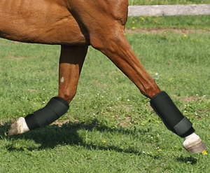 Sepatu bot penunggang kuda, sepatu bot kualitas tinggi untuk berkuda Anti tabrakan lengan kaki Tendon tipe sepatu kuda - Product Image 2