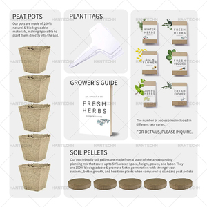 Kits de culture pour légumes et herbes d'intérieur, pots en tourbe biodégradables Pepper Box, pour jardin domestique - Product Image 4