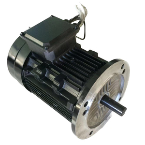 Motor BLDC de 7.5kw 10kw 96V, 2800rpm, Motor Eléctrico de CC sin Escobillas de Imán Permanente - Product Image 2