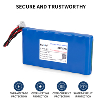 Batterie LiFePO4 OEM 24V 5Ah 1000 cycles avec BMS CE UN38.3 pour équipement audio numérique professionnel Hi-Fi haut de gamme