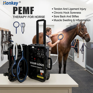 Appareil PEMF portable pour animaux, directement de l'usine, améliore la flexibilité et la mobilité des articulations, dispositif de bien-être pour animaux de compagnie pour usage domestique - Product Image 1