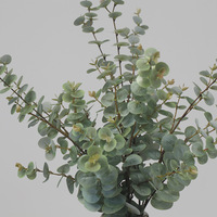 Daun Eucalyptus Buatan PVC Sentuhan Realistis Gaya Nordik, Cabang Panjang, Tanaman Hias Lanskap, Hijauan Indoor/Outdoor, Dedaunan Pohon Uang