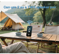 2025 nouveauté pour Bluetooth 5.3 TWS Mini haut-parleurs portables en gros OEM étanche IPX-6 haut-parleur sans fil avec microphone