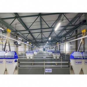 Caja para cerdos de engorde, equipo agrícola duradero, nuevo e higiénico, limpio y personalizado al por mayor - Product Image 5