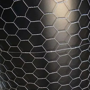 Malla de Alambre Hexagonal Galvanizada por Inmersión en Caliente de 13x13 mm, 19x19 mm, 25x25 mm, Hecha de Alambre de Hierro - Product Image 1