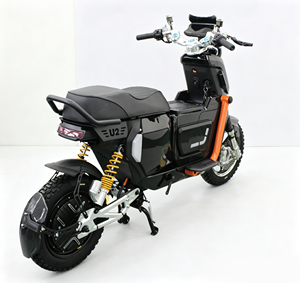 Moto électrique NIU <span class=keywords><strong>U2</strong></span> modifiée sur mesure, haute vitesse, tout-terrain, pour le marché russe - Product Image 5