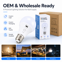 Ampoule LED RGB rechargeable USB-C E27, lampe d'urgence portable suspendue pour le camping, la maison, l'extérieur et le marché