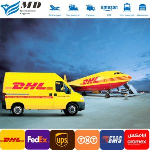 DP ตัวแทนขนส่งสินค้าทางอากาศ China todk Fi NO SE BG CY CZ LT Mt RO SK - Product Image 5