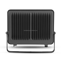Projecteur LED Slim 100W, 120lm/w, AC100~277V, lumière blanche froide, étanche, pour éclairage paysager et sécurité