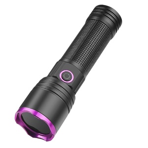 High-Power UV Flashlight Lithium Battery-Promotional Novelty Anti-Counterfeiting Tool for Pets Currency