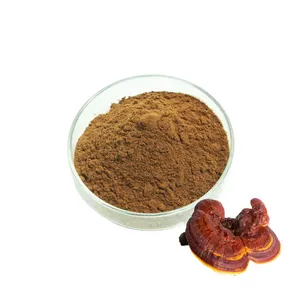 مسحوق فطر الريشي العضوي المستخلص من Ganoderma Lucidum عالي الجودة سكرات متعددة السكرات بنسبة 30%