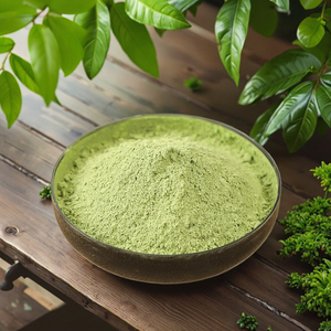 Thực phẩm hữu cơ cấp màu xanh lá cây WheatGrass nước trái cây bột vitamin-hoạt động chất lỏng chiết xuất từ lúa mì Hoang Dã trồng đóng gói trong một chai - Product Image 4