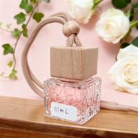 Vente en gros de bouteilles suspendues de voiture personnalisées Rafraîchisseur d'air mini bouteilles en verre de 5ml Parfum d'huile essentielle de voiture Diffuseur longue durée