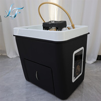 Bac à shampoing portable pour spa capillaire, thérapie et vapeur, mobilier de salon, bac à shampoing de haute qualité pour salon