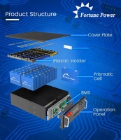 Batterie au lithium LiFePO4 Fortune Power Rack montée sur support 48V 51.2V 200Ah pour stockage d'énergie domestique, garantie 5 ans, 6000 cycles