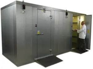 Sala de congelador móvel de carne de frango de 100 toneladas