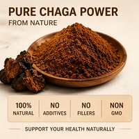 Poudre d'extrait de polysaccharides de champignon Chaga 20% biologique USDA UE Corps fruiteur Fourniture en vrac OEM