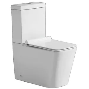 PATE 浴室地板安装 wc 陶瓷 washdown 4英寸出口两件式厕所