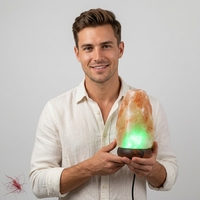 Lampe en sel rose de l'Himalaya à 7 couleurs changeantes, forme naturelle, lampe en cristal de l'Himalaya avec base en bois