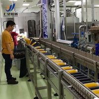 Complete sap productielijn met fruitverwerking, afvulling en verpakking; turnkey project voor saplijnen