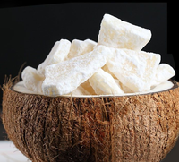 Tranches de noix de coco confites séchées par congélation de qualité supérieure (morceaux de chair de noix de coco) 100% naturelles sans additifs