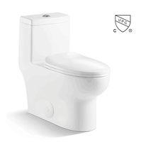 Vanité de salle De bain Wc Toilette Monobloc En Céramique Siphonique Toilettes Ensemble
