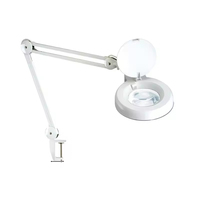Lampe de travail personnalisée 6W à bras long, lampe de bureau, soin des yeux, lumière blanche, ateliers, lampe de travail grossissante