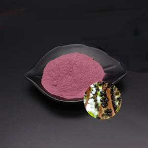 ผงเบอรี่บราซิลสกัดจากอาซาอิเบอร์รี่วัตถุดิบสำหรับเครื่องดื่มที่เป็นของแข็งผงเส้นใยผักและผลไม้ผงผลไม้ - Product Image 1