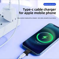 Apple Cep Telefonları için OTG Adaptör Tip-C USB-C Kablosuz Yaka Klipsli Mikrofon Kulaklık Ses Kartı Müzik Yeni DC OTP