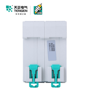 Disjoncteur Tengen Tgb1n 125 2P 3P 100A Type D pour la protection du démarrage du moteur - Product Image 3