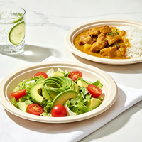 Assiettes jetables en fibre de coque de riz de 6 à 10 pouces, vaisselle carrée biodégradable, vaisselle écologique pour la restauration, plats de service pour les fêtes