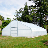 Serre moderne en acier galvanisé PE film 30x30ft 9x9m Serre personnalisée en polyéthylène pour plantation facile à assembler en extérieur
