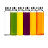 Bouteille d'Eau Sous Zéro 16 oz, en Verre, Anti-fuite avec Bouchon en Acier Inoxydable – Prix Usine