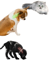 Gamelle surélevée 2-en-1 en acier inoxydable pour chats et chiens, avec fonction anti-glouton, vente en gros
