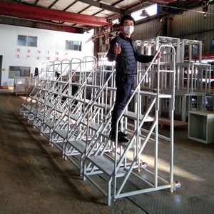 Dễ Dàng Leo Lên Tính Ổn Định Cao Cán Nền Tảng Thang Với Lan Can - Product Image 6