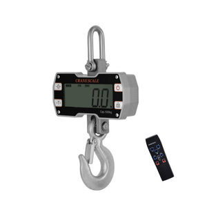 300kg 500kg Small Range Steel Electronic Hook Crane Scale with LCD/LED Display CE Certified OEM Available - Product Image 1
